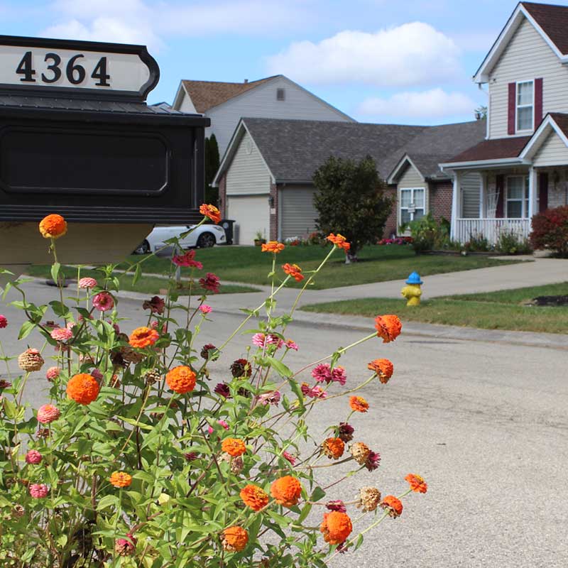 Flowers and homes in Gateway, Dayton OH